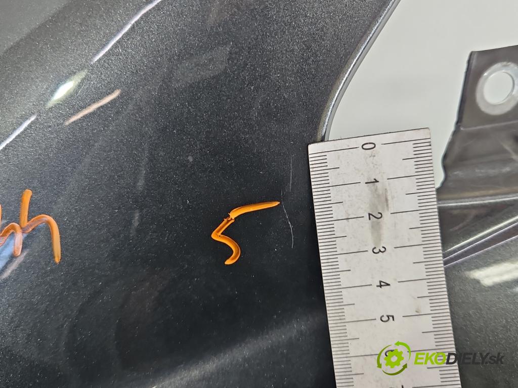 Citroen C4 II 2010-2017 1.4 16V 95 hp manual 70 kW 1397 cm3 5- blatnik přední levý  (Levý přední blatník)