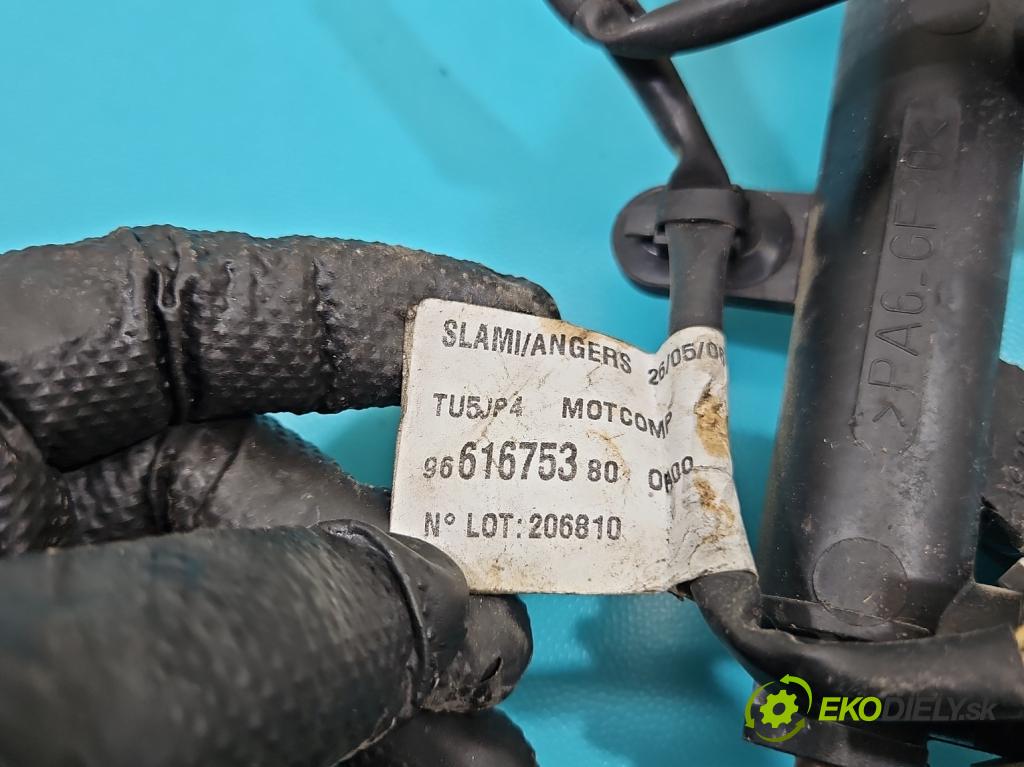 Citroen C3 I 2002-2009 1.4 8v 73 HP manual 54 kW 1360 cm3 5- vstrek 01F023 (Vstrekovač paliva)