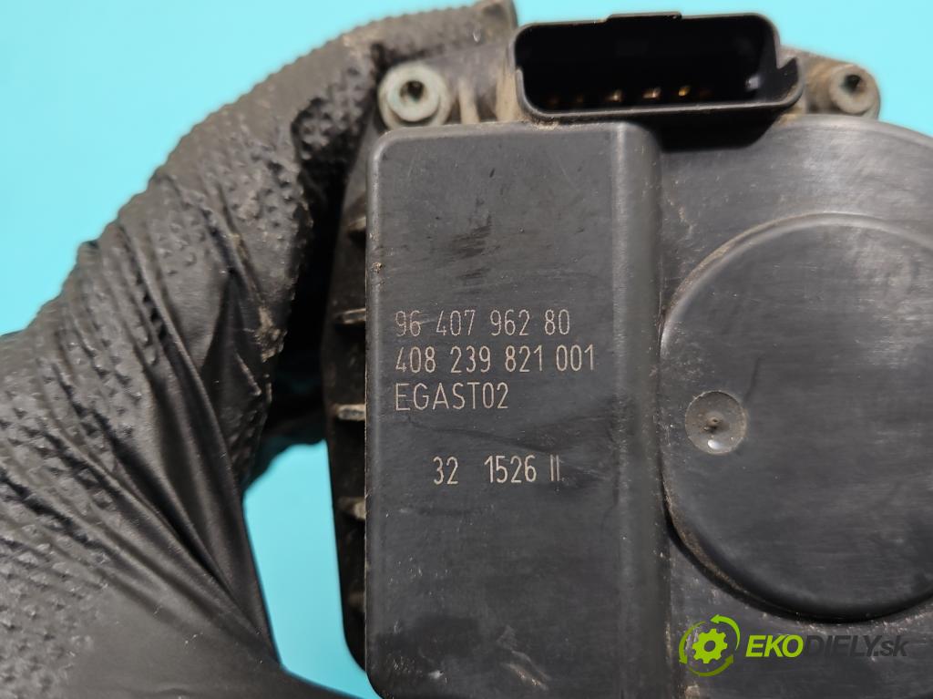 Citroen C3 I 2002-2009 1.4 8v 73 HP manual 54 kW 1360 cm3 5- klapka 9640796280 (Škrtiaca klapka)