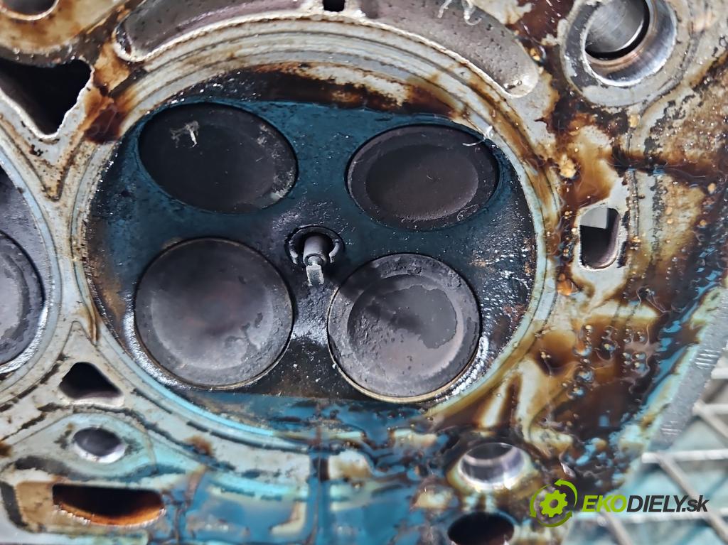 Citroen C4 II 2010-2017 1.4 16V 95 hp manual 70 kW 1397 cm3 5- hlava motoru 8F01