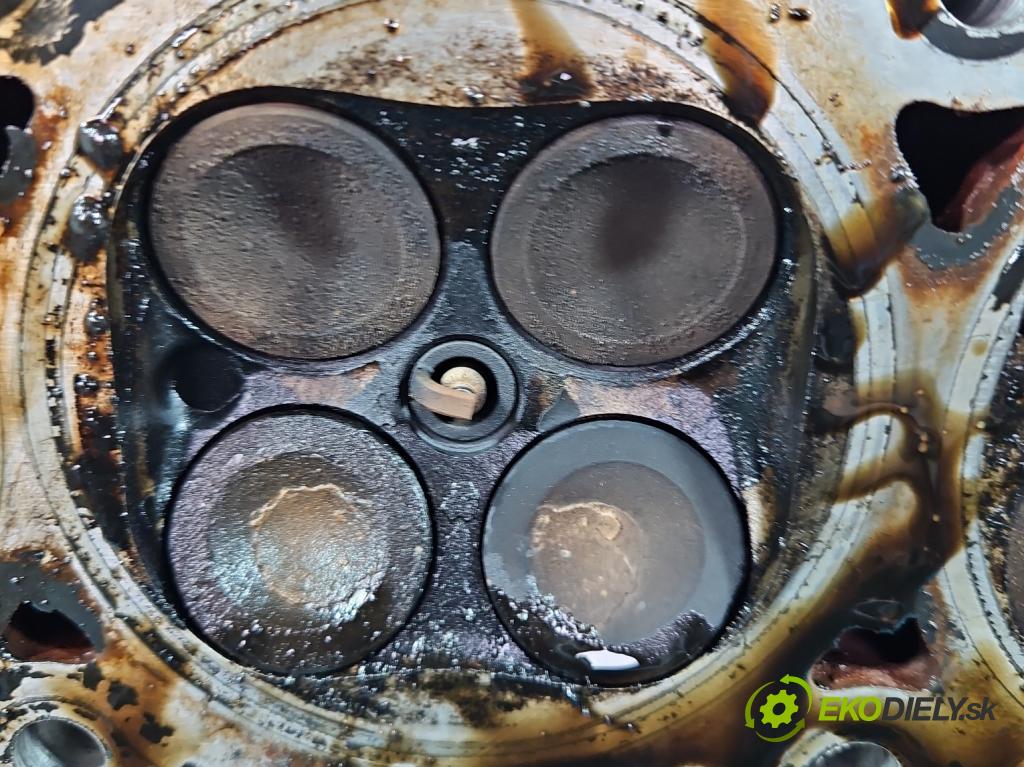 Fiat Stilo 1.6 16V 103 hp manual 76 kW 1596 cm3 3- hlava motoru 46764638