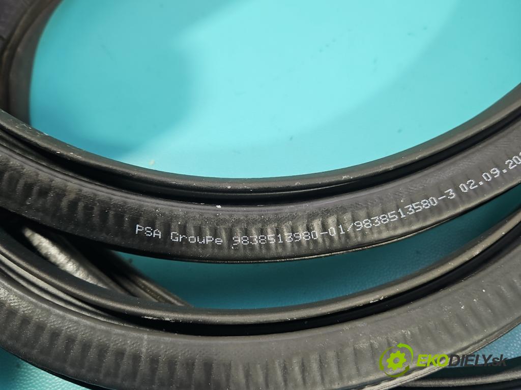 Opel Astra VI 2022- 1.5 cdti 131 HP manual 96 kW 1499 cm3 5- Těsnění: dvere zadné pravé 9838513980 (Karoséria ostatné)