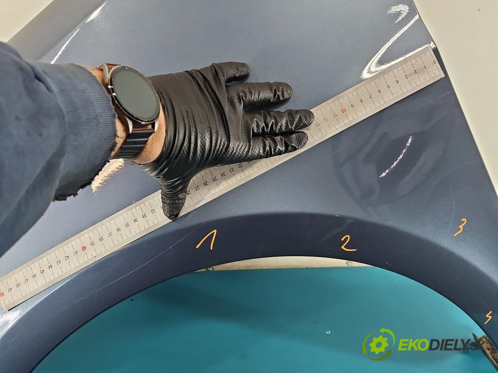 Renault Clio III 2005-2012 1,2.0 101 hp manual 74 kW 1149 cm3 5- blatnik přední levý 8200256117 (Levý přední blatník)