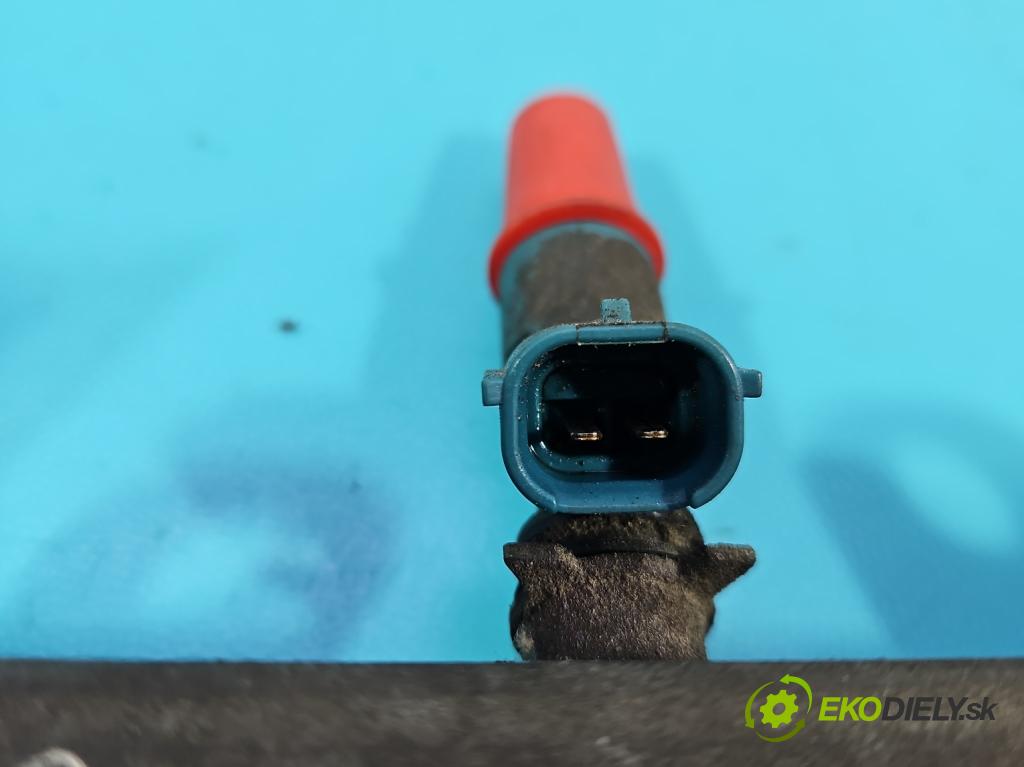 Suzuki Grand Vitara II 2005-2014 2.0 16V 140 HP manual 103 kW 1995 cm3 5- vstrek  (Vstrekovač paliva)