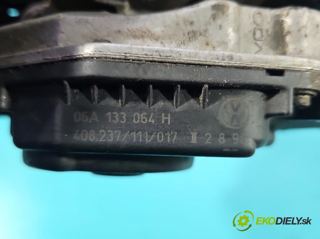 Vw Golf IV 1997-2003 2.0b 116 HP manual 85 kW 1984 cm3 5- klapka 06A133064H (Škrtiaca klapka)