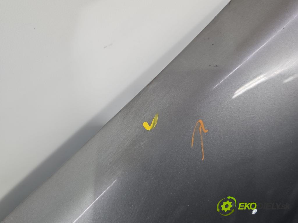 Fiat Punto Grande 1.4 8V 77 hp manual 57 kW 1368 cm3 5- blatnik přední levý  (Levý přední blatník)