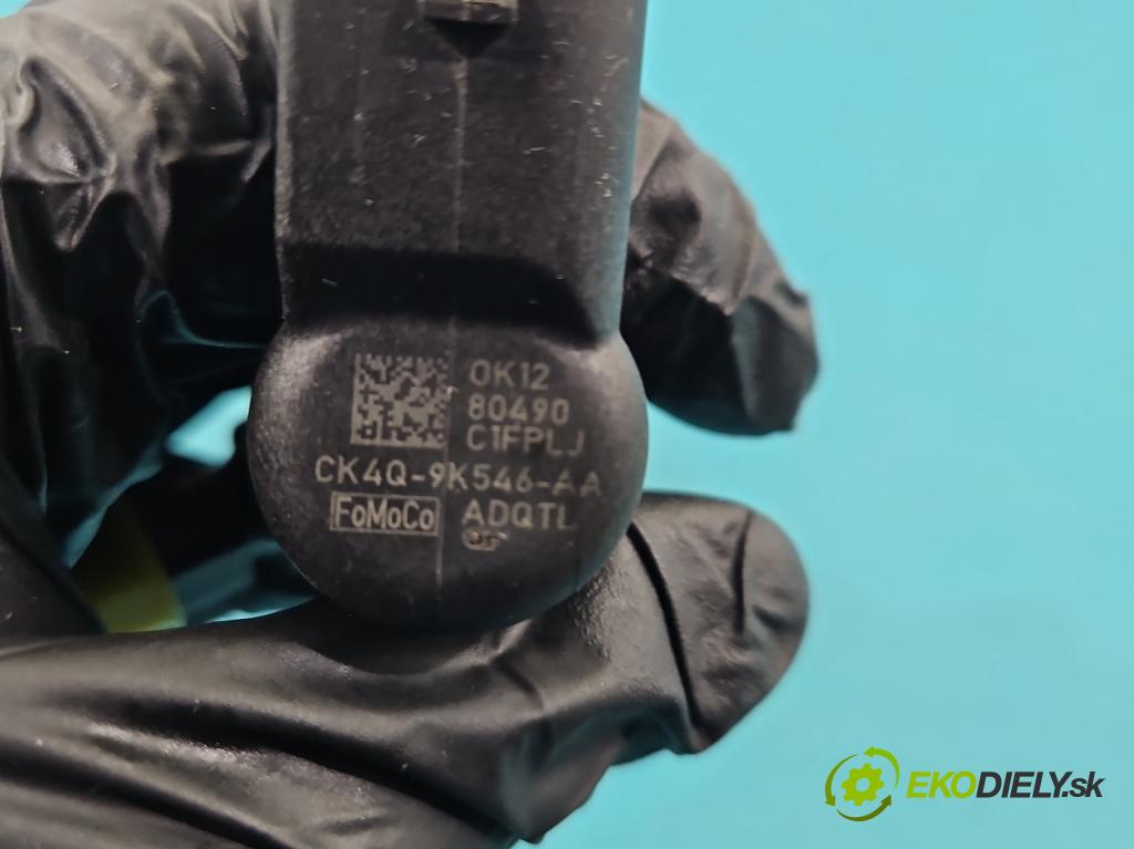Ford Ranger IV 1998-2011 2.5 tdci 143 HP manual 105 kW 2500 cm3 5- vstrek CK4Q-9K546-AA (Vstrekovač paliva)
