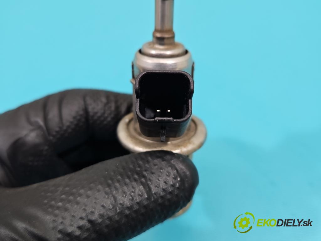 Citroen C4 Grand Picasso II 2013-2022 2.0 HDI 163 HP automatic 120 kW 1997 cm3 5- vstrek 9801187080 (Vstrekovač paliva)