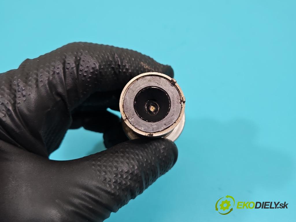 Citroen C4 Grand Picasso II 2013-2022 2.0 HDI 163 HP automatic 120 kW 1997 cm3 5- vstrek 9801187080 (Vstrekovač paliva)