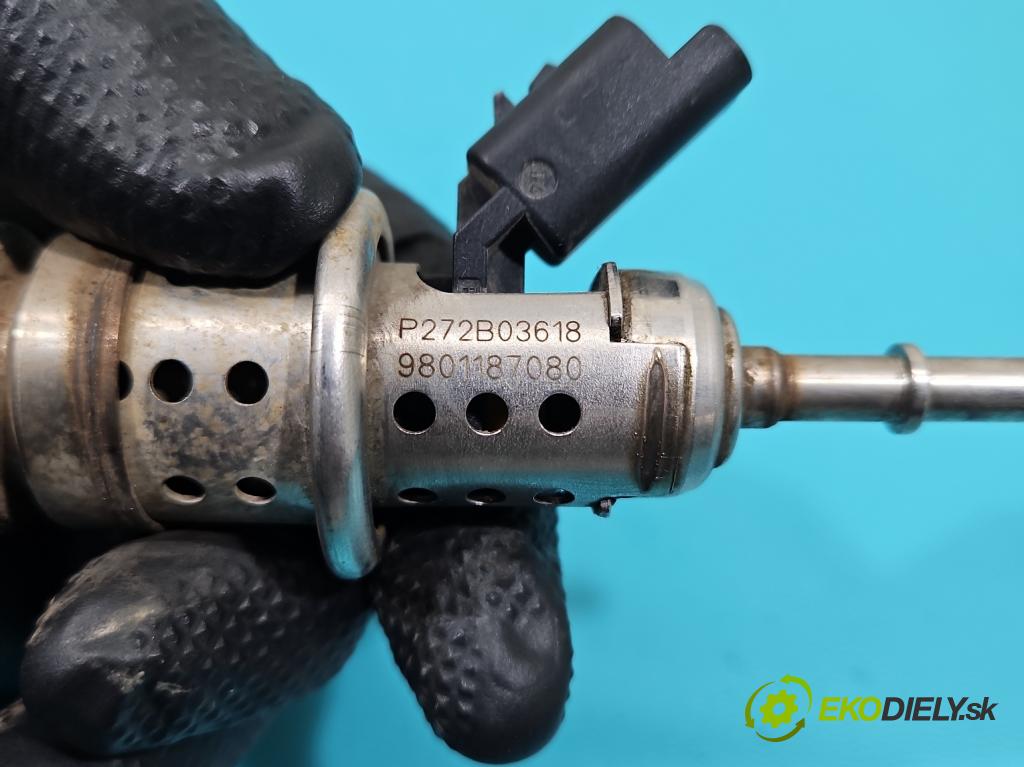 Citroen C4 Grand Picasso II 2013-2022 2.0 HDI 163 HP automatic 120 kW 1997 cm3 5- vstrek 9801187080 (Vstrekovač paliva)