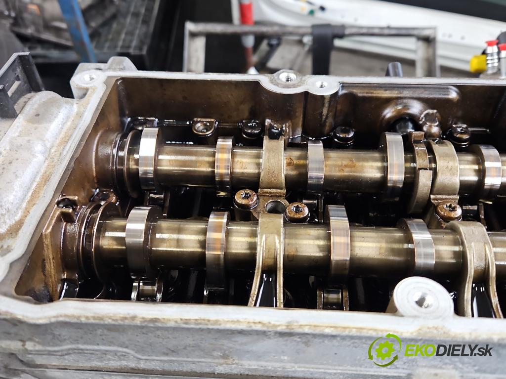 Skoda Octavia III 2013- 1.6 tdi 110 HP manual 81 kW 1598 cm3 5- motor diesla CXX