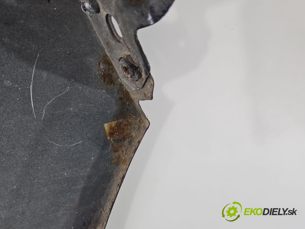 Citroen C3 II 2009-2016 1.6 hdi 92 HP manual 68 kW 1560 cm3 5- blatník predné ľavý  (Blatník predný ľavý)