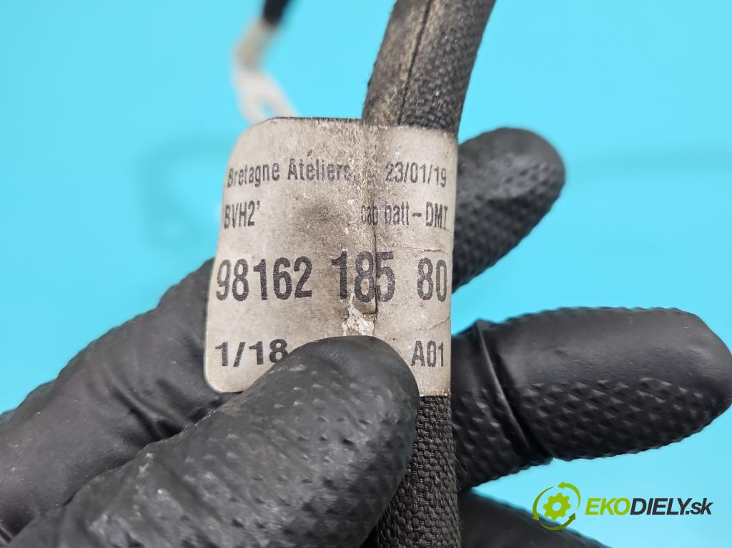 Citroen C4 Grand Picasso II 2013-2022 2.0 HDI 163 HP automatic 120 kW 1997 cm3 5- kontakt mínus: 9814653780