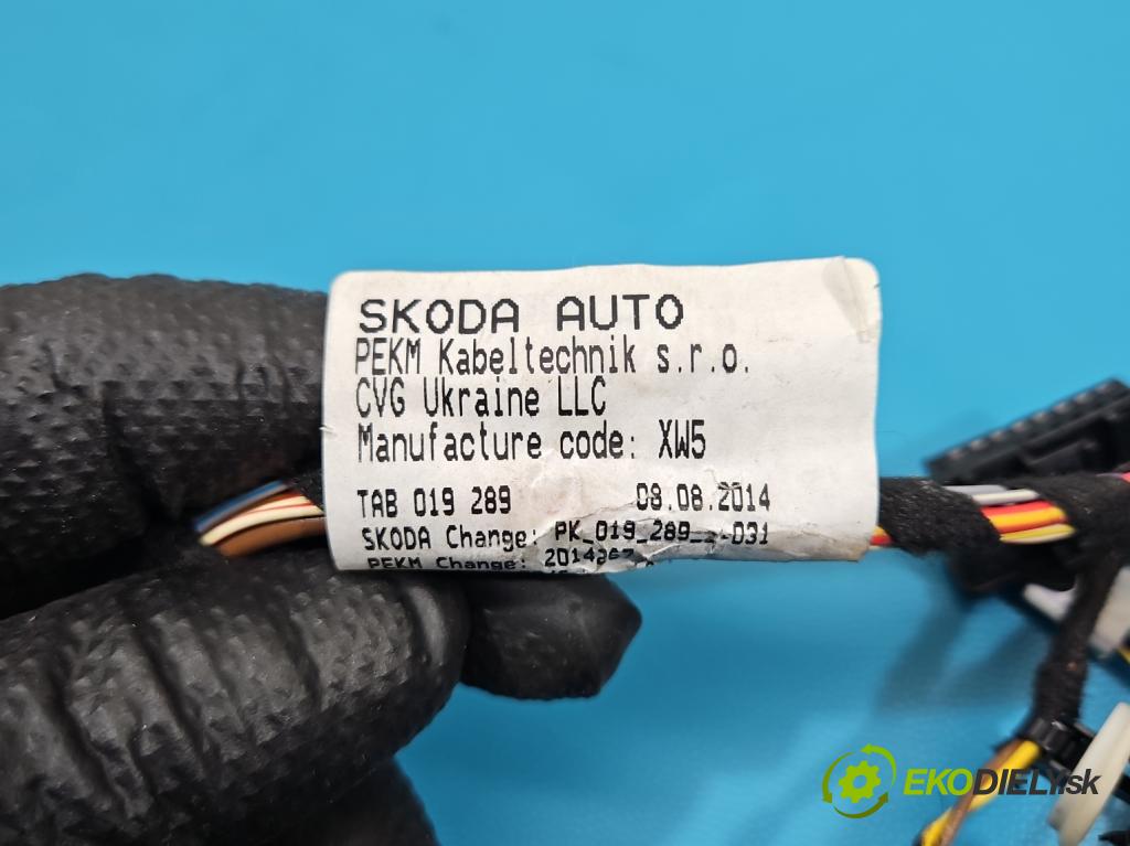 Skoda Octavia III 2013- 1.6 tdi 110 HP manual 81 kW 1598 cm3 5- Zväzok: dvere predné vľavo: 5E1971120H