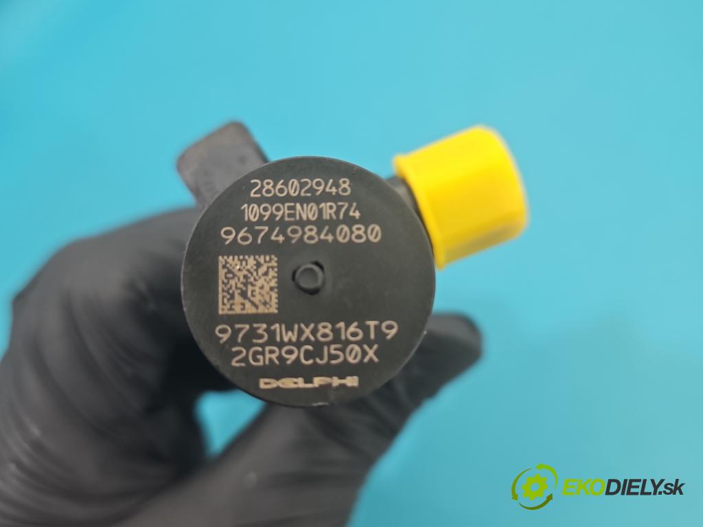 Citroen C4 Grand Picasso II 2013-2022 2.0 HDI 163 HP automatic 120 kW 1997 cm3 5- vstrek 28602948 (Vstrekovač paliva)