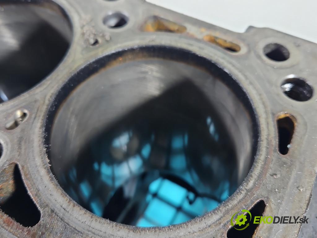 Mercedes Vito W639 2003-2014 2.2 cdi (646982) 150 HP manual 110 kW 2148 cm3 5- Blok motora 646982 (Blok motora)