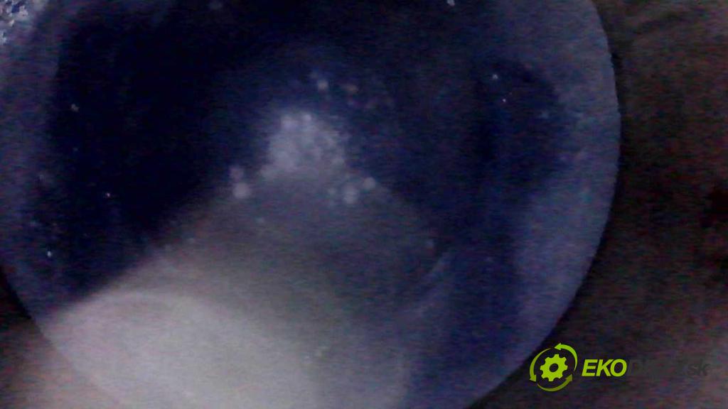 Renault Master III 2010-2024 2.3 DCI 163 HP manual 120 kW 2299 cm3 5- motor diesla M9TD706