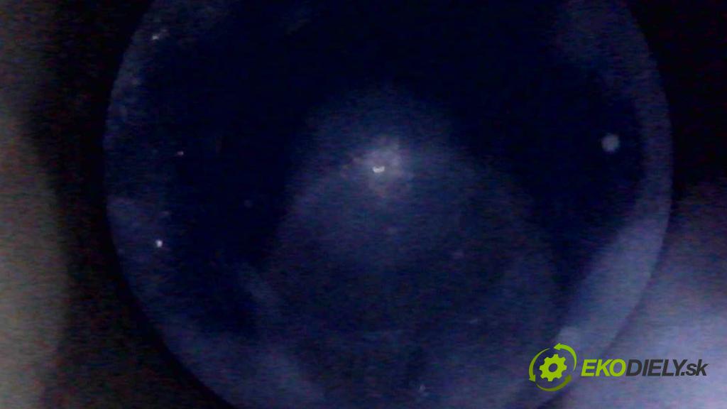 Renault Master III 2010-2024 2.3 DCI 163 HP manual 120 kW 2299 cm3 5- motor diesla M9TD706