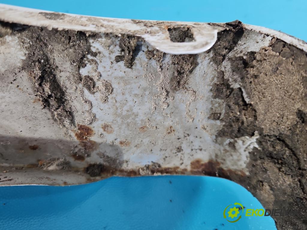 Hyundai Matrix 1.6 16V 103 hp manual 76 kW 1599 cm3 5- blatnik přední levý  (Levý přední blatník)