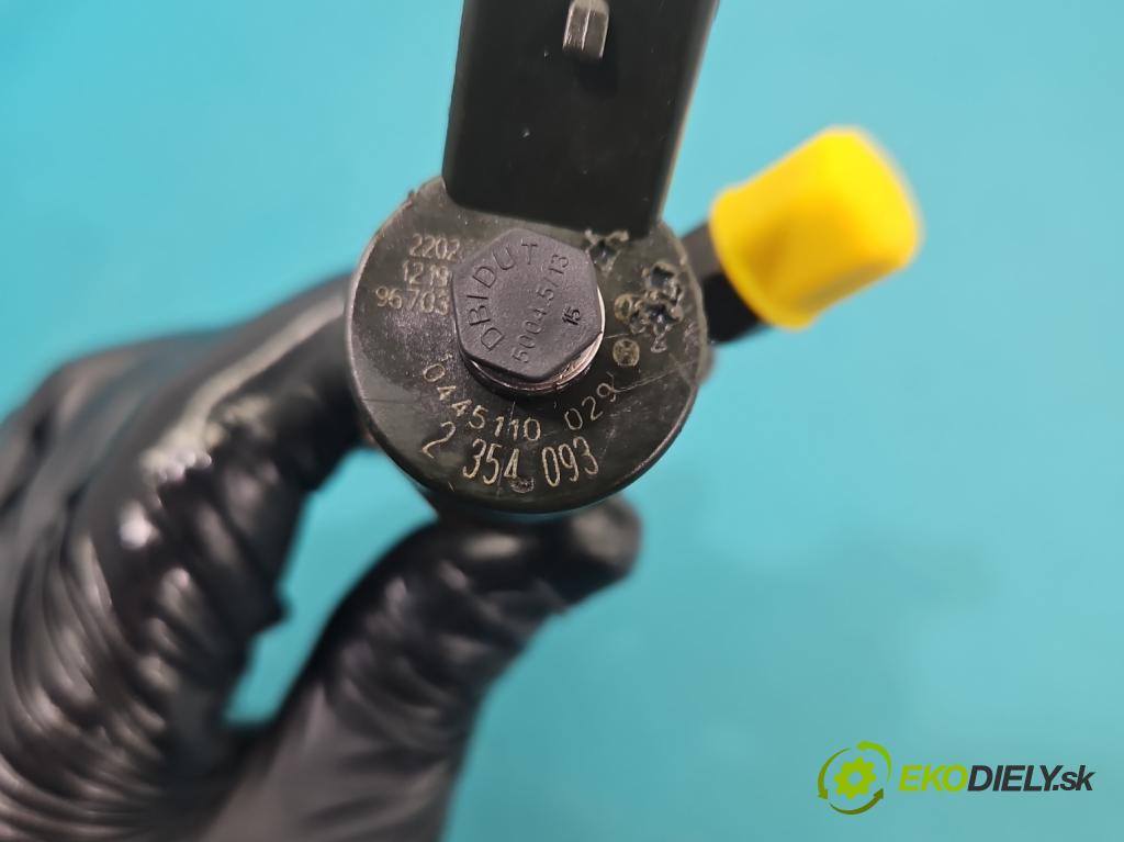 Bmw 5 E39 1996-2003 3.0d 193 HP manual 142 kW 2926 cm3 4- vstrek 0445110029 (Vstrekovač paliva)