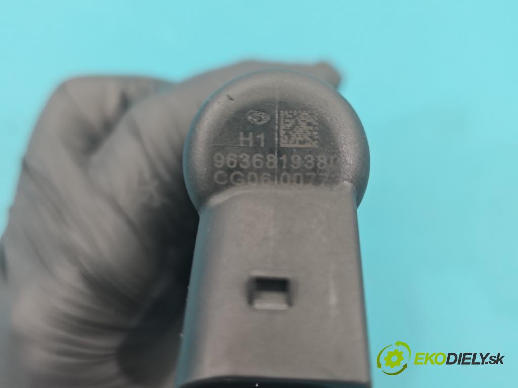 Peugeot 307 2.0 hdi 90 HP manual 66 kW 1997 cm3 3- vstrek 9636819380 (Vstrekovač paliva)