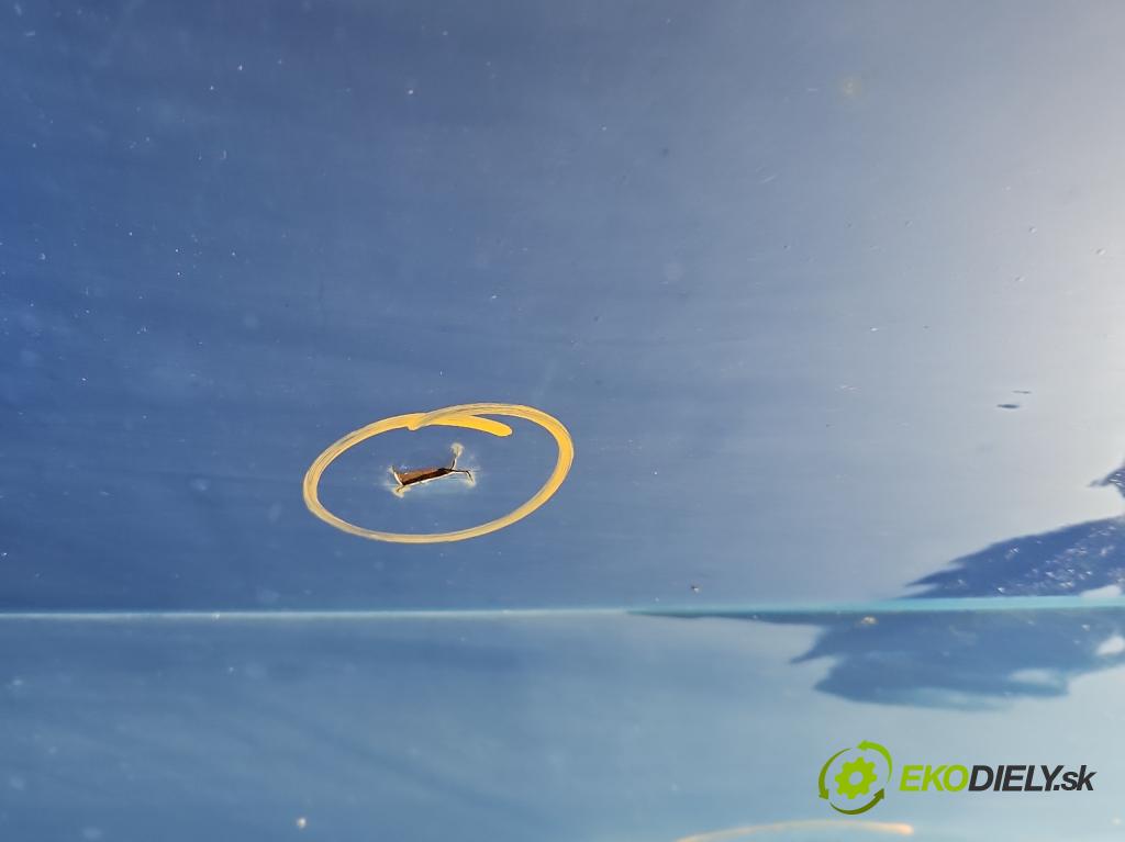 Vw Transporter T4 1990-2003 1.9 TD 68 hp manual 50 kW 1896 cm3 5- zadní kufrové dveře  (Zadní kapota (kufr))