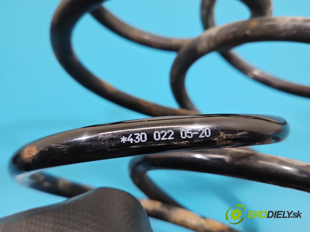 Renault Kangoo I 1998-2008 1.9d 64 HP manual 47 kW 1870 cm3 5- Pružiny: predné komplet