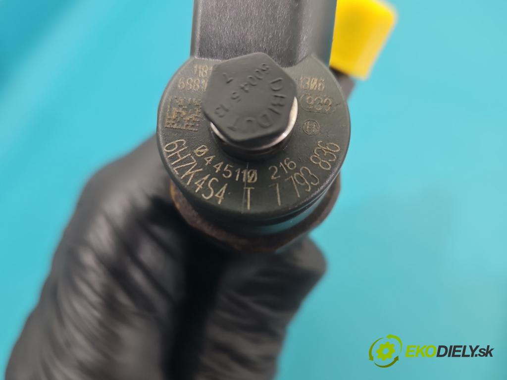 Bmw 5 E60 2003-2010 2.0d 150 HP automatic 110 kW 1995 cm3 5- vstrek 0445110216 (Vstrekovač paliva)