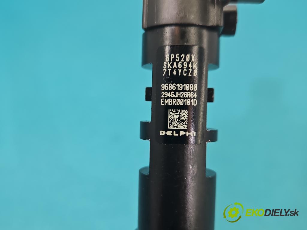 Ford C-Max II 2010-2019 2.0 TDCI 140 HP automatic 103 kW 1997 cm3 5- vstrek EMBR00101D (Vstrekovač paliva)