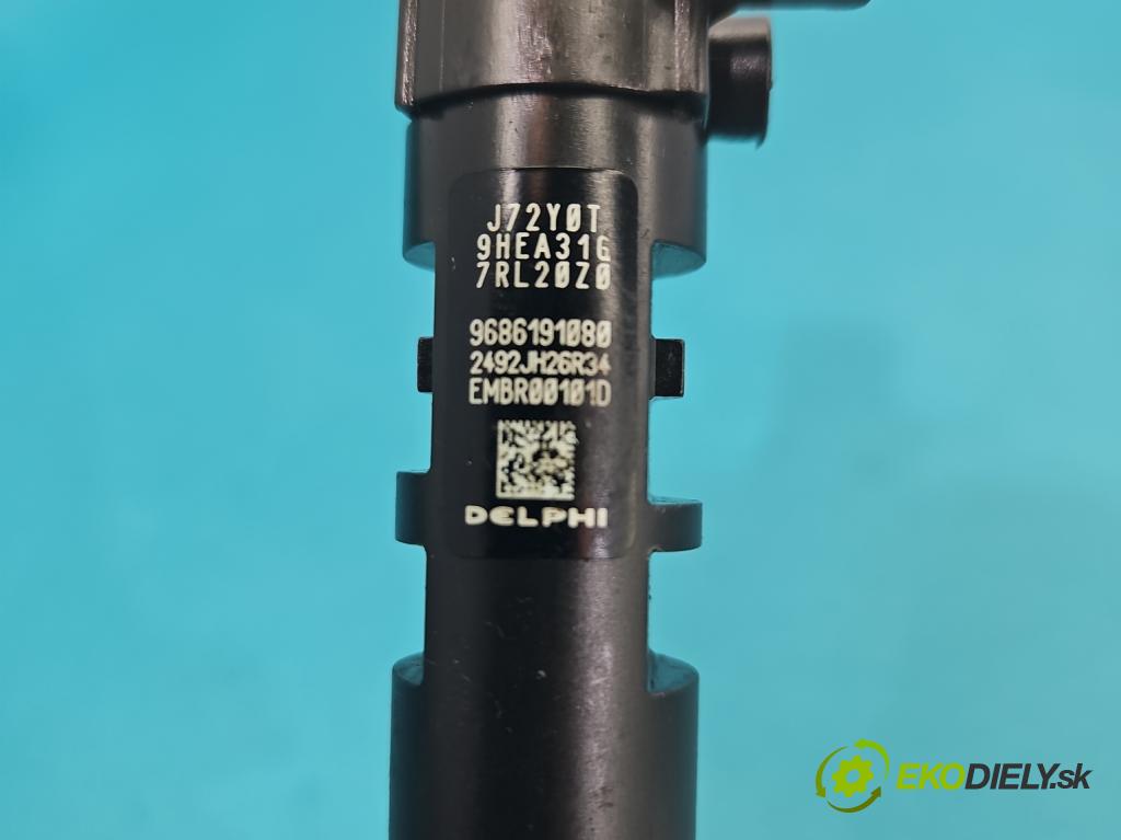 Ford C-Max II 2010-2019 2.0 TDCI 140 HP automatic 103 kW 1997 cm3 5- vstrek EMBR00101D (Vstrekovač paliva)