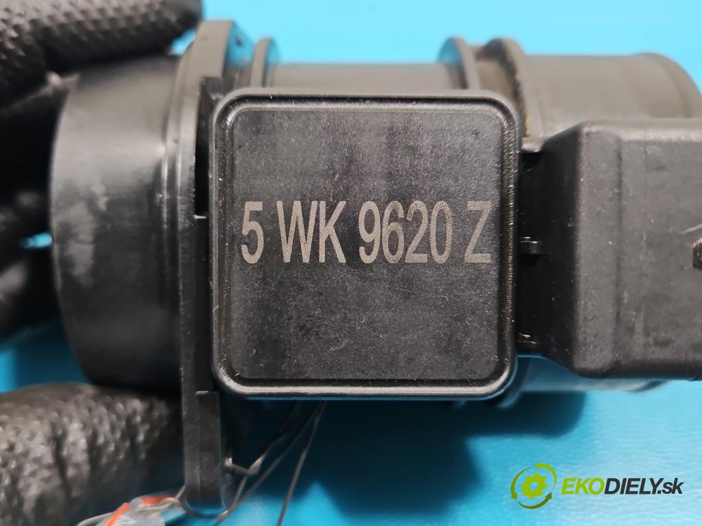 Renault Megane I 1995-2003 1.9 dci 102 HP manual 75 kW 1870 cm3 5- průtokoměr: 5WK9620 (Váha vzduchu)