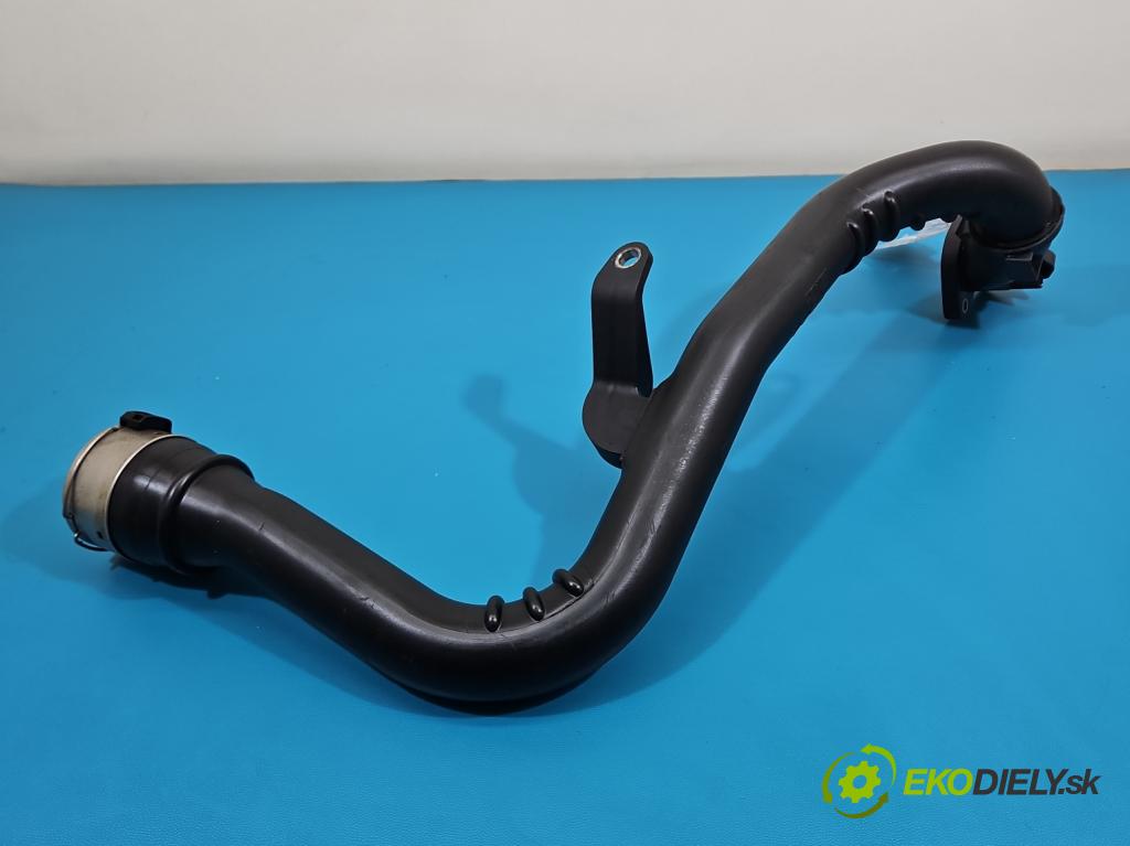 Renault Kadjar 2015-2022 1.3 140 HP automatic 103 kW 1332 cm3 5- Trubka: 144607753R