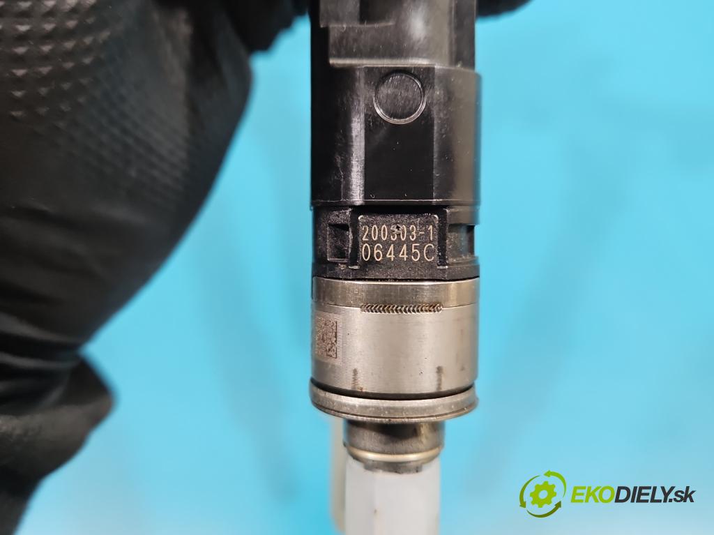 Renault Kadjar 2015-2022 1.3 140 HP automatic 103 kW 1332 cm3 5- vstrek 166001525R (Vstrekovač paliva)