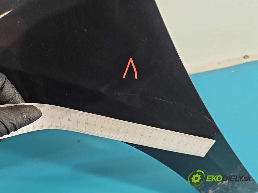 Renault Laguna III 2007-2015 2.0 16V 140 HP manual 103 kW 1997 cm3 5- blatník predné ľavý  (Blatník predný ľavý)