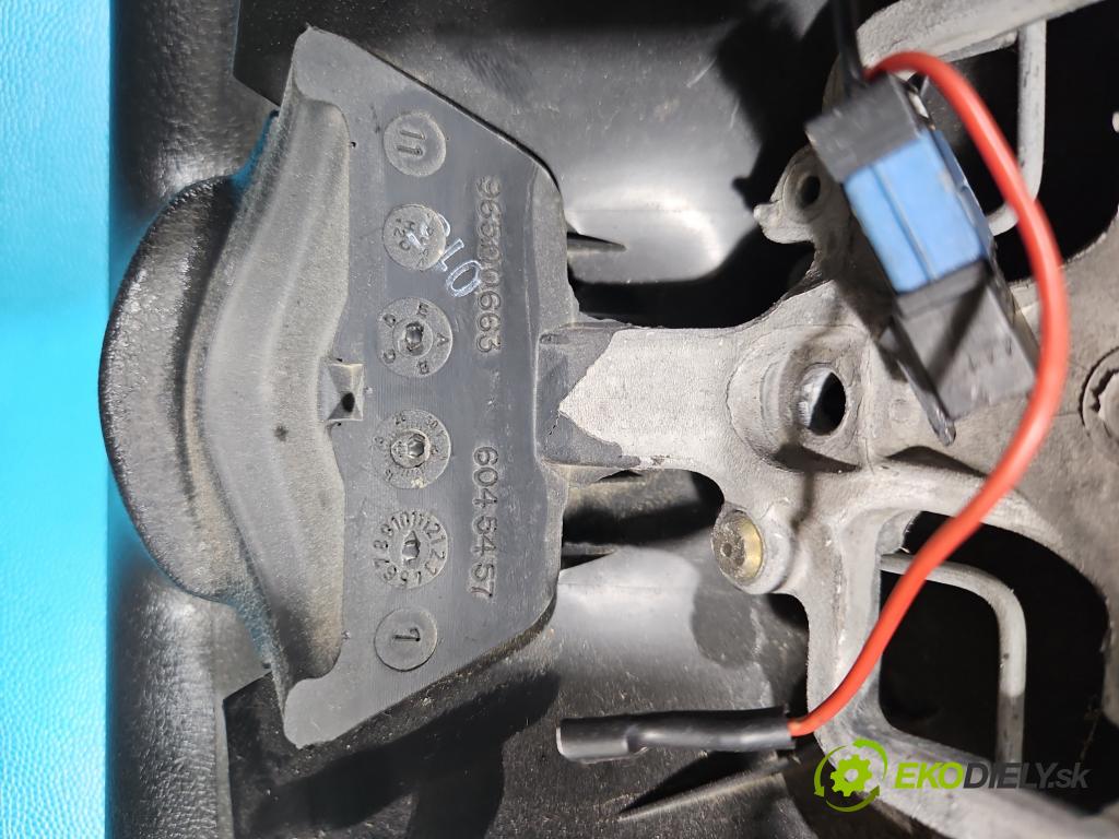 Peugeot 207 1.6 hdi 90 hp manual 66 kW 1599 cm3 5- volant 96701085ZD (Volant)