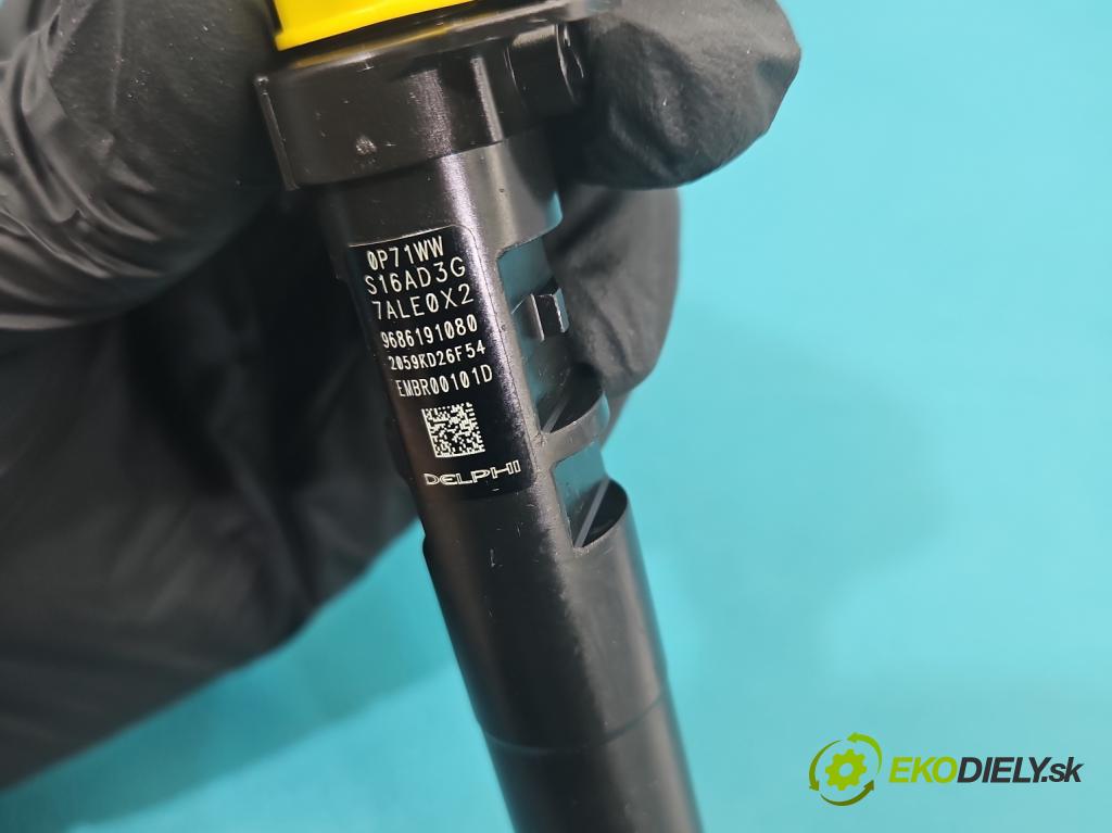 Peugeot 5008 I 2009-2017 2.0 HDI 150 HP manual 110 kW 1997 cm3 5- vstrek 9686191080 (Vstrekovač paliva)