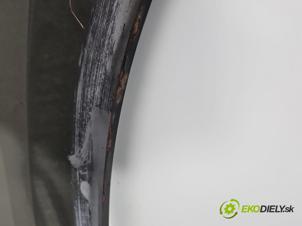 Opel Signum 1.9 cdti 120 HP manual 88 kW 1910 cm3 5- blatník predné ľavý  (Blatník predný ľavý)