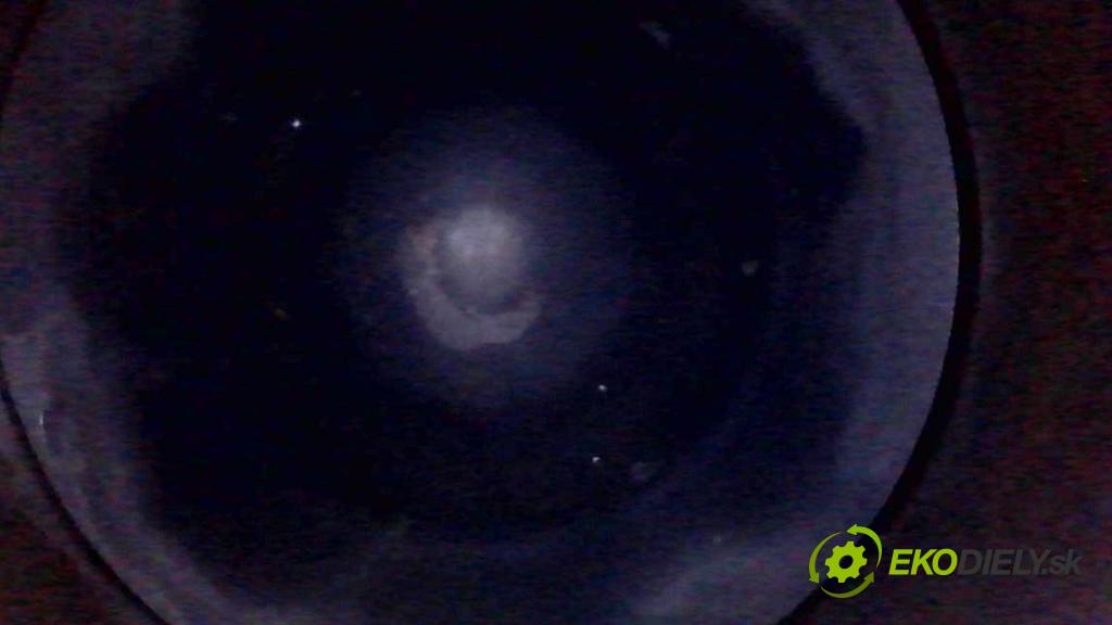 Renault Master III 2010-2024 2.3 DCI 163 hp manual 120 kW 2299 cm3 3- motor diesla M9TB702