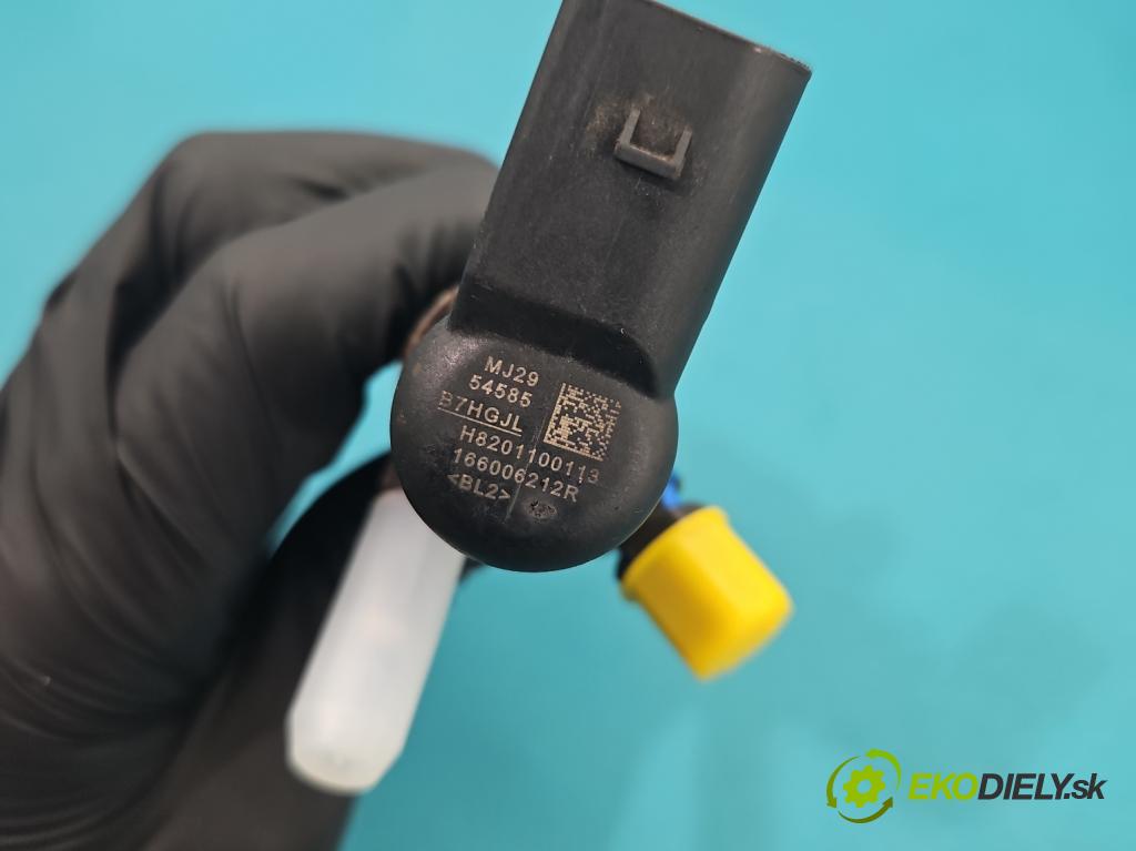 Renault Scenic III 2009-2016 1.5 dci 110 HP automatic 81 kW 1461 cm3 5- vstrek 166006212R (Vstrekovač paliva)