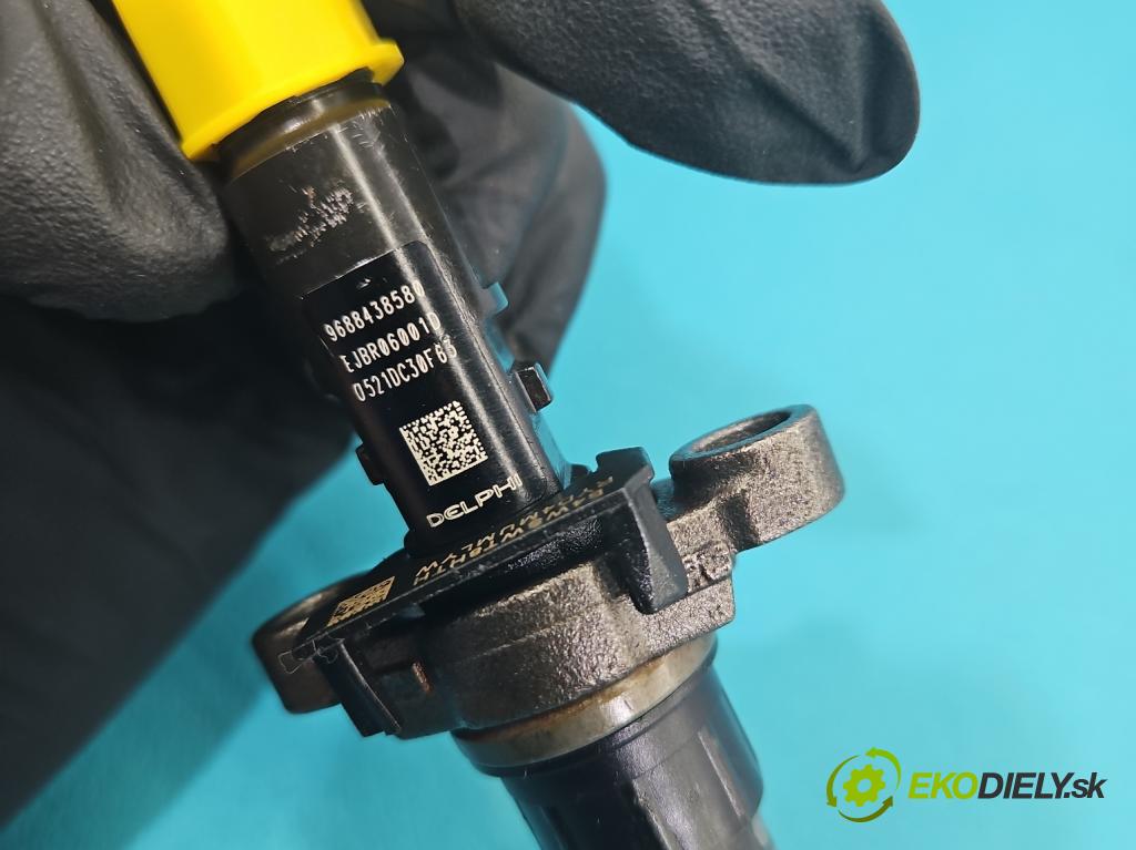 Peugeot 407 2.0 hdi 136 HP manual 100 kW 1997 cm3 4- vstrek EJBR06001D (Vstrekovač paliva)