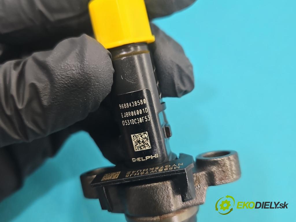 Peugeot 407 2.0 hdi 136 HP manual 100 kW 1997 cm3 4- vstrek EJBR06001D (Vstrekovač paliva)