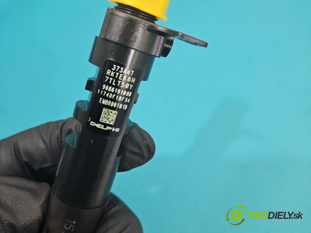 Citroen C4 II 2010-2017 2.0 hdi 150 hp manual 110 kW 1997 cm3 5- vstřikovač EMBR00101D (Vstřikovač paliva)