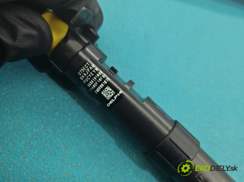 Citroen C4 II 2010-2017 2.0 hdi 150 HP manual 110 kW 1997 cm3 5- vstrek EMBR00101D (Vstrekovač paliva)