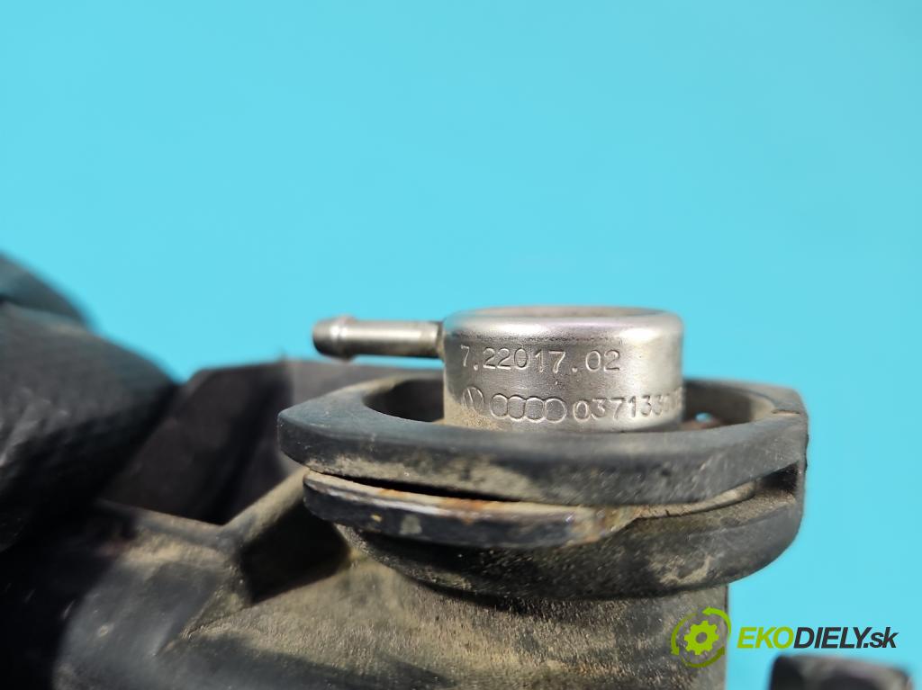 Audi A3 8L 1996-2003 1.6 sr 102 HP manual 75 kW 1595 cm3 3- vstrek 06A133317A (Vstrekovač paliva)