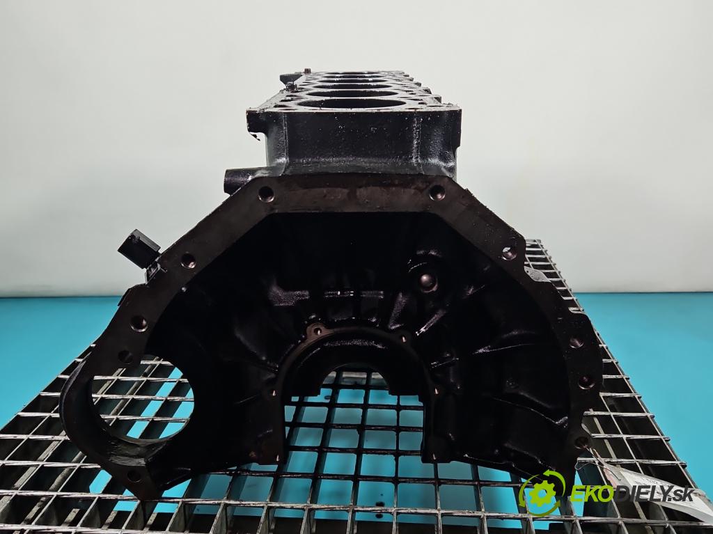 Mercedes E W211 2002-2009 3.2 cdi (648961) 204 HP automatic 150 kW 3222 cm3 5- Blok motora 648961 (Blok motora)