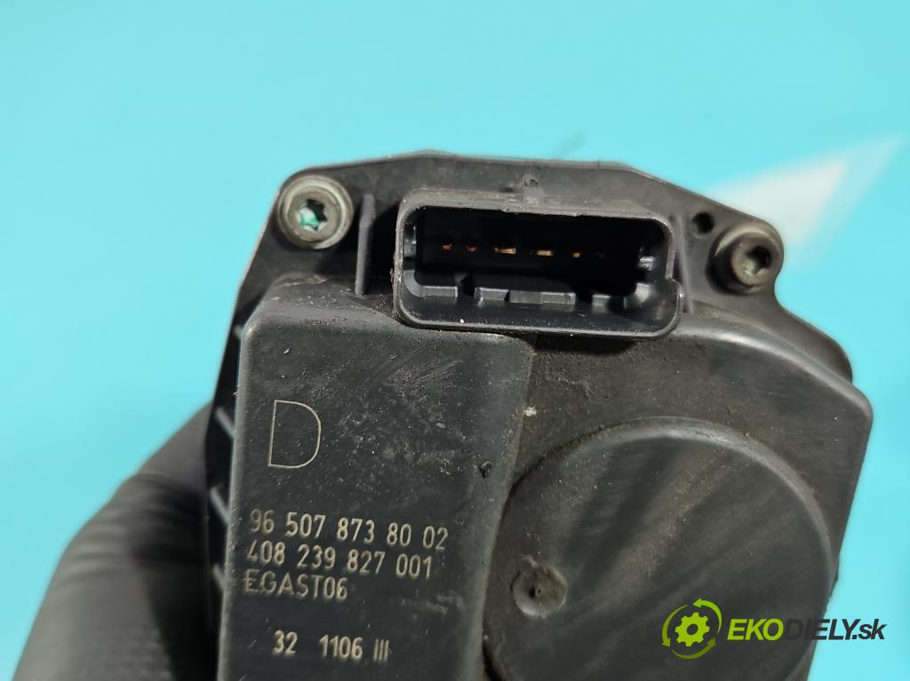 Peugeot 807 2002-2014 2.0 16V 140 HP manual 103 kW 1997 cm3 5- klapka 9650787380 (Škrtiaca klapka)