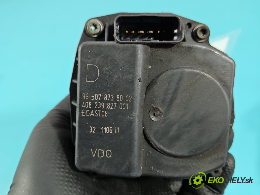 Peugeot 807 2002-2014 2.0 16V 140 HP manual 103 kW 1997 cm3 5- klapka 9650787380 (Škrtiaca klapka)