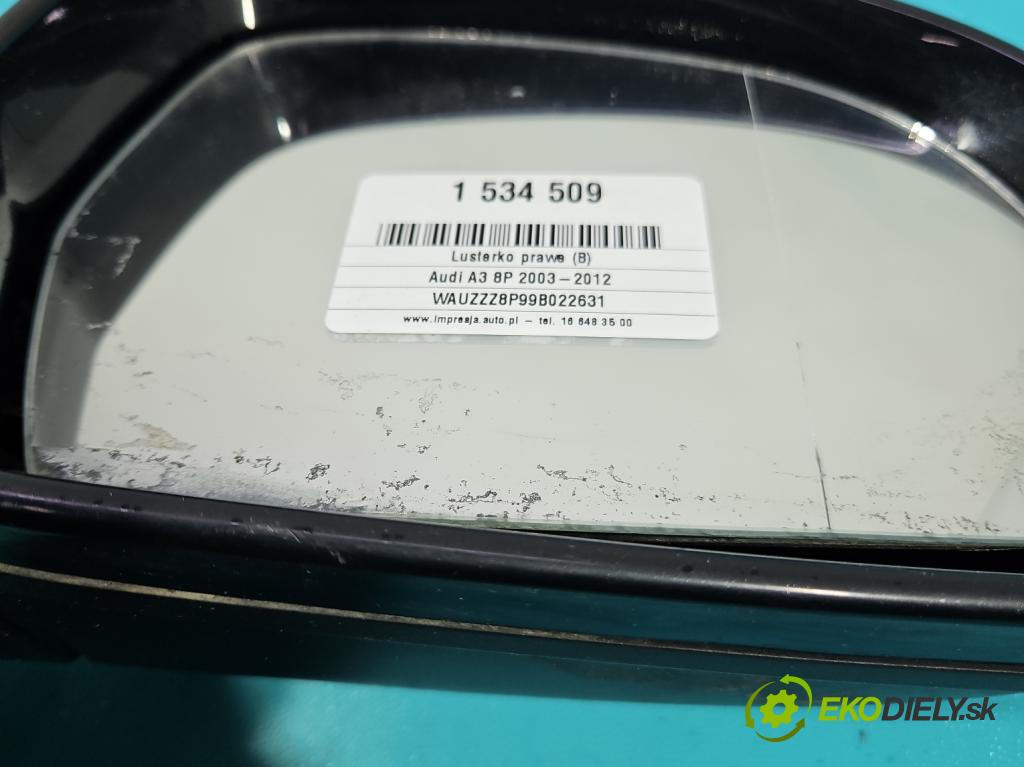 Audi A3 8P 2003-2012 1.9 TDI 105 HP manual 77 kW 1896 cm3 5- zrkadlo pravé  (Kľučka dverí ostatné)