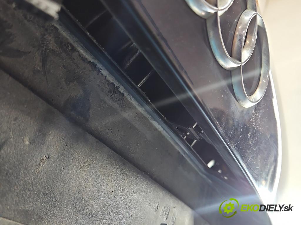 Audi A3 8P 2003-2012 1.9 TDI 105 hp manual 77 kW 1896 cm3 5- zadní kufrové dveře  (Zadní kapota (kufr))