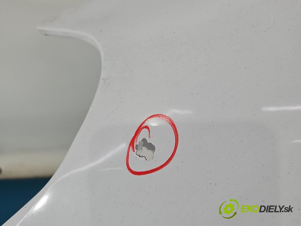 Opel Astra III 2004-2014 1.9 cdti 101 hp manual 74 kW 1910 cm3 5- blatnik přední levý  (Levý přední blatník)